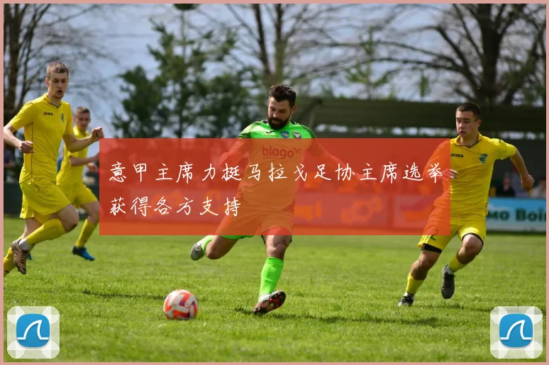 意甲主席力挺马拉戈足协主席选举获得各方支持